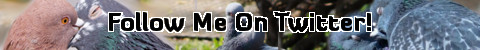 Follow Me On Twitter